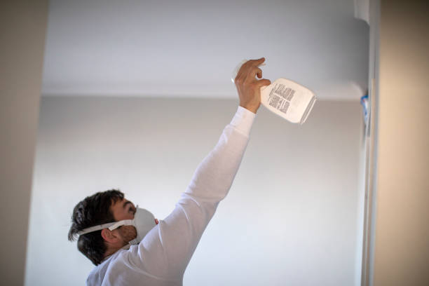 Best Home Mold Removal  in Gilcrest, CO