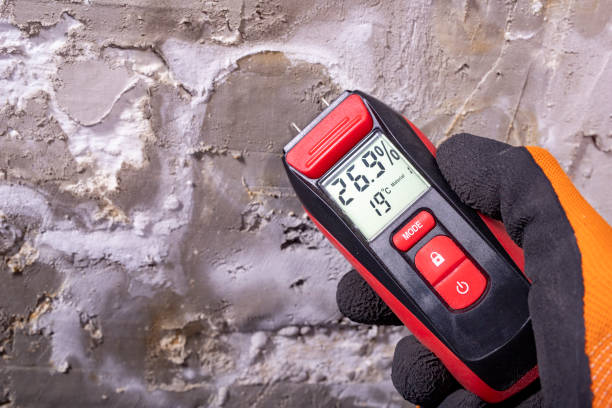 Best Mold Remediation  in Gilcrest, CO