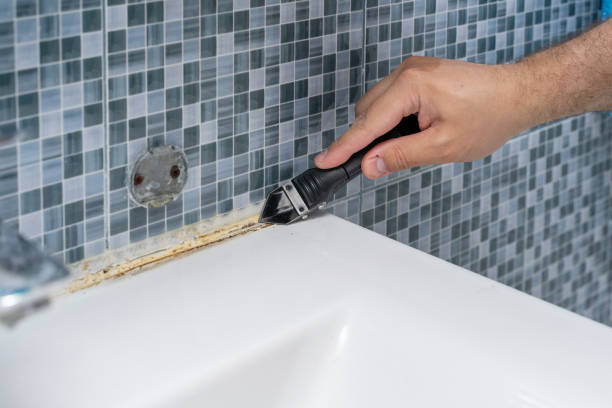 Best Same-Day Mold Removal  in Gilcrest, CO